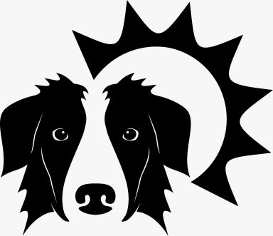 Border Collies from the Sundance Kids Logo